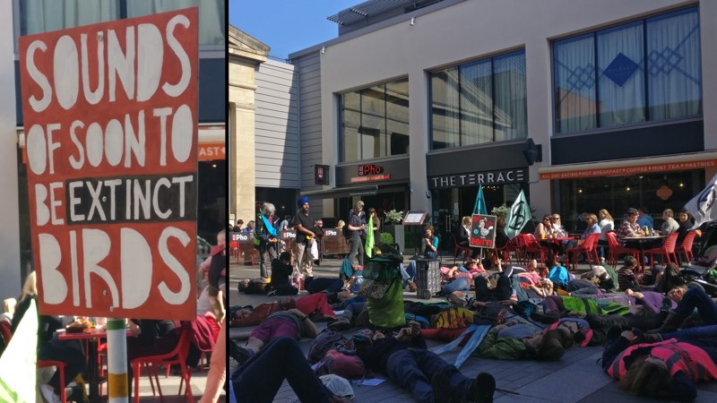 Extinction Rebellion activists in Exeter Guildhall shopping centre