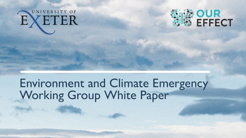 University of Exeter Environment and Climate Emergency Working Group white paper