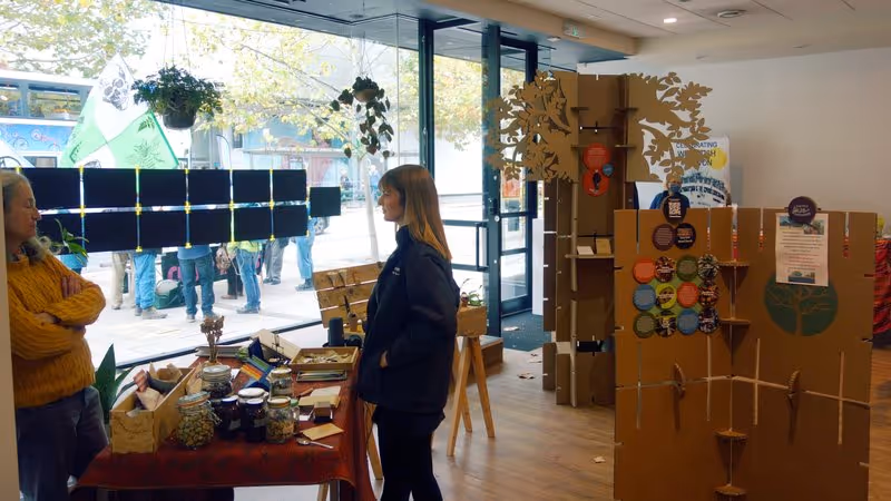 Exeter Seed Bank recycled cardboard display and stall materials