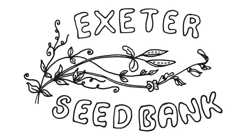 Exeter Seed Bank workshop Sunday 2 October 2022 Exeter Phoenix