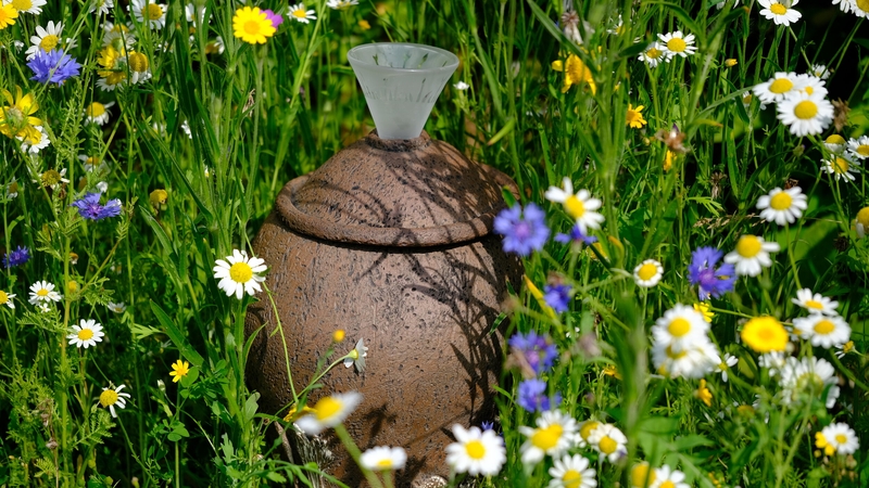 Wildflower meadow with seed collection pot
