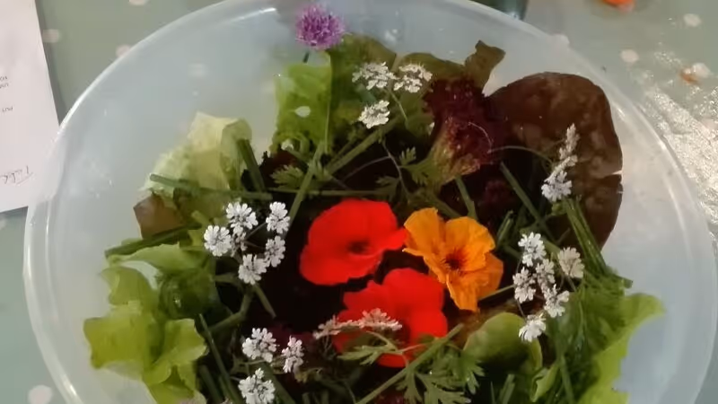 St Sidwell's Community Centre supper dish