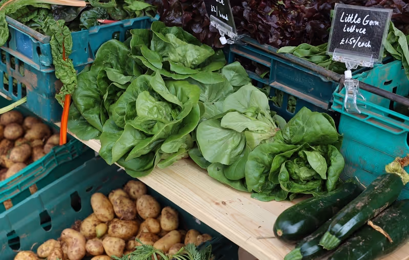 Exeter quayside farmers market vegetables