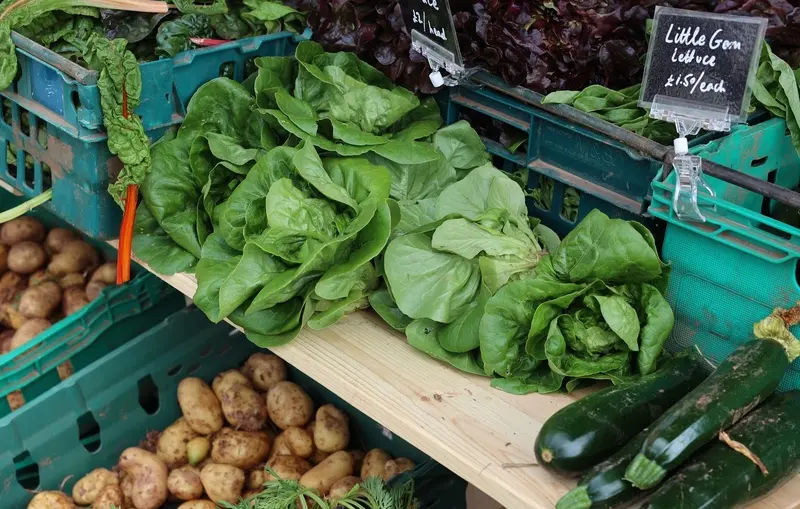 Quayside farmers market exeter observer