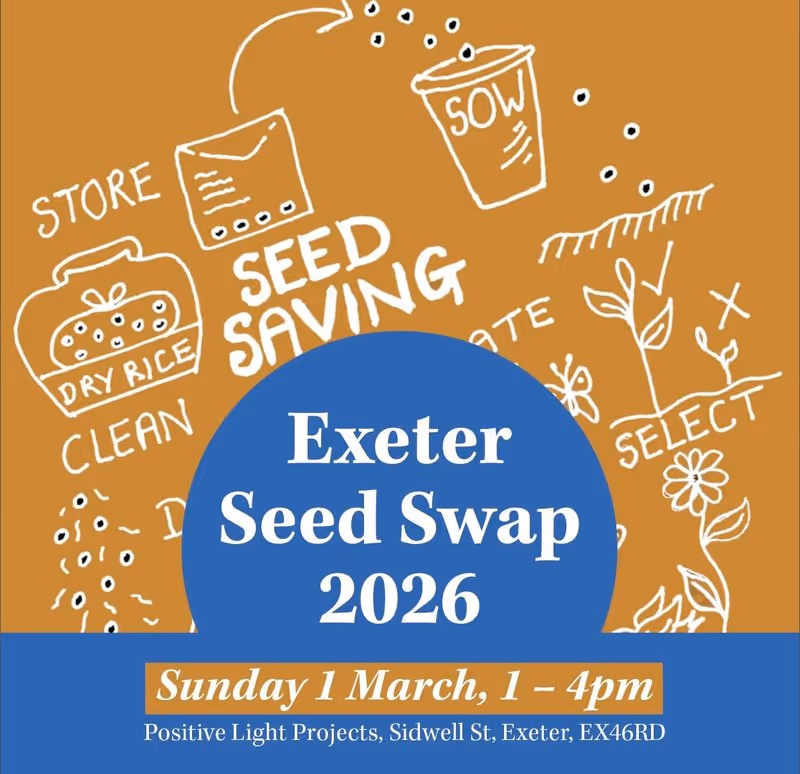 Exeter Seed Bank Seed Swap 2026 Sunday 1 March 2026 Positive Lights Projects