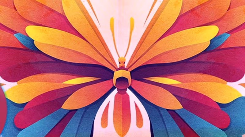 International Women's Festival graphic